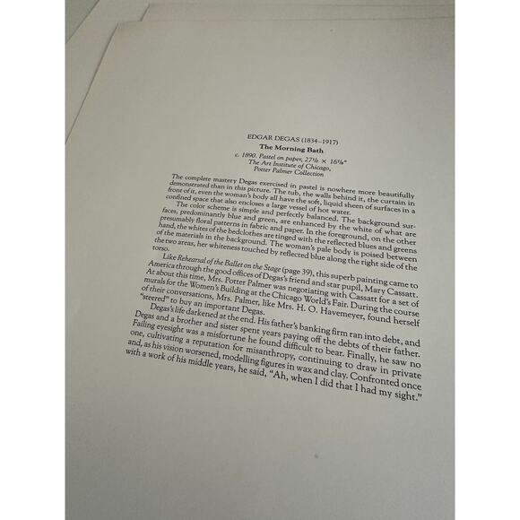 Degas, Morning Bath, Painting, Print, Art, Impressionism, ~ 250626-WH 225 - Picture 2 of 2